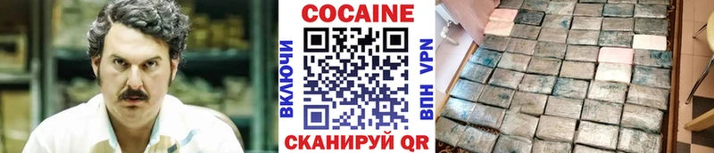Cocaine FishScale  купить   Ногинск 