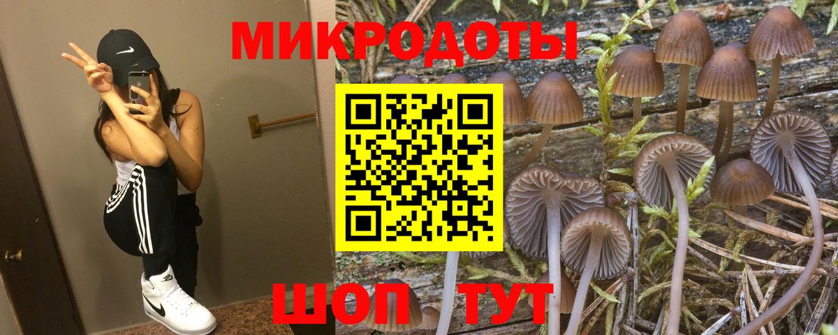 Галлюциногенные грибы MAGIC MUSHROOMS Ногинск