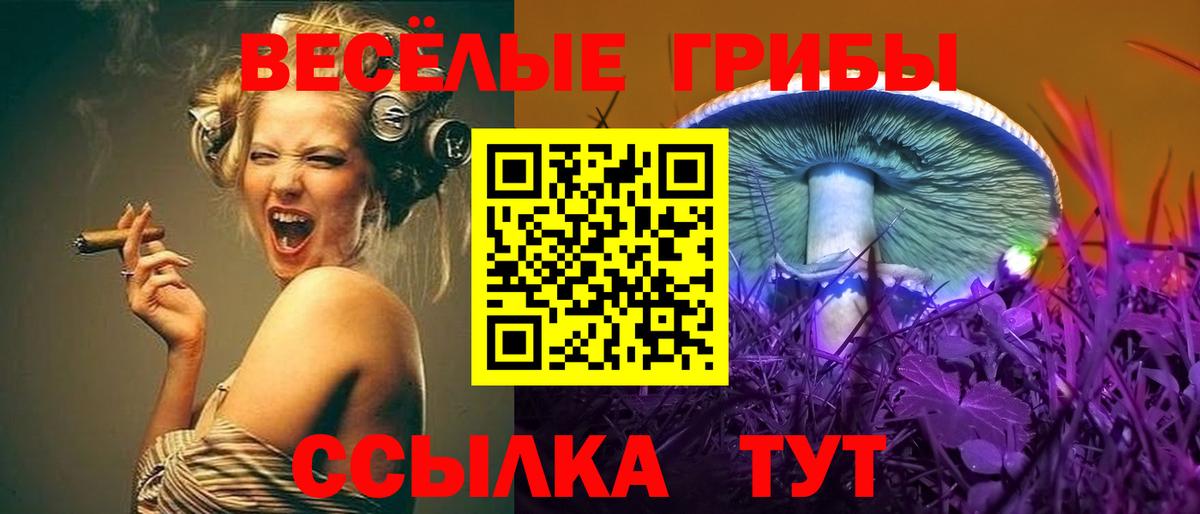 наркошоп  Галлюциногенные грибы Psilocybe  Псилоцибиновые грибы Magic Shrooms  Вход с VPN  Ногинск 