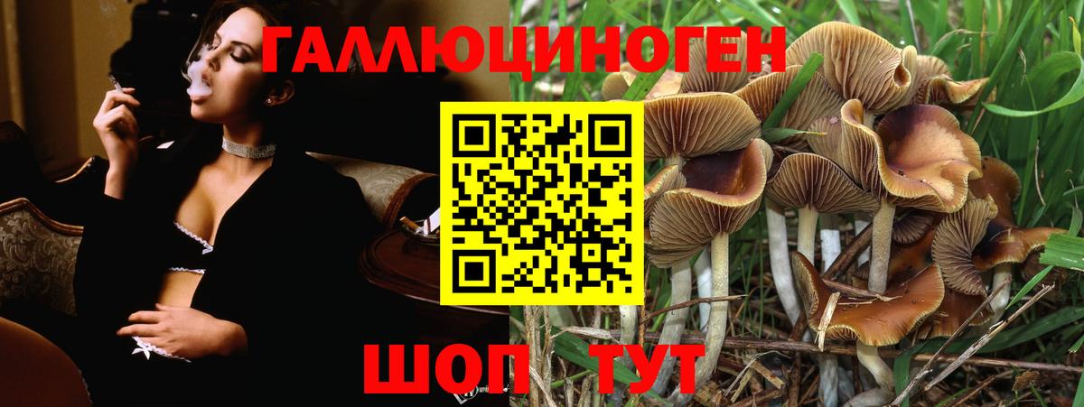 Ногинск  MDMA  Гашиш  МЕФ   Вход с VPN  ГАШ 