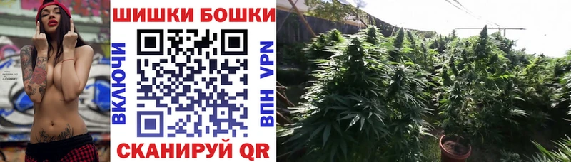 omg как зайти  Ногинск  Марихуана ГИДРОПОН 