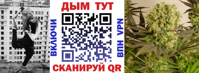 Канабис гибрид Ногинск