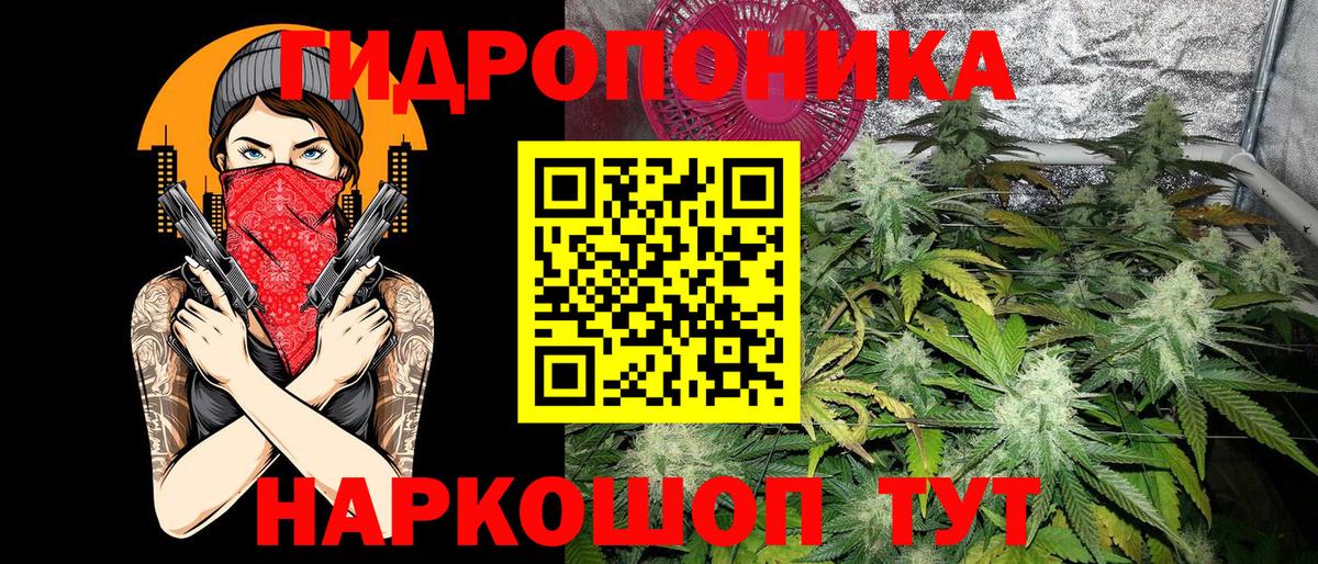 МАРИХУАНА планчик  МАРИХУАНА конопля  Ногинск  Бошки марихуана OG Kush  Вход с VPN 